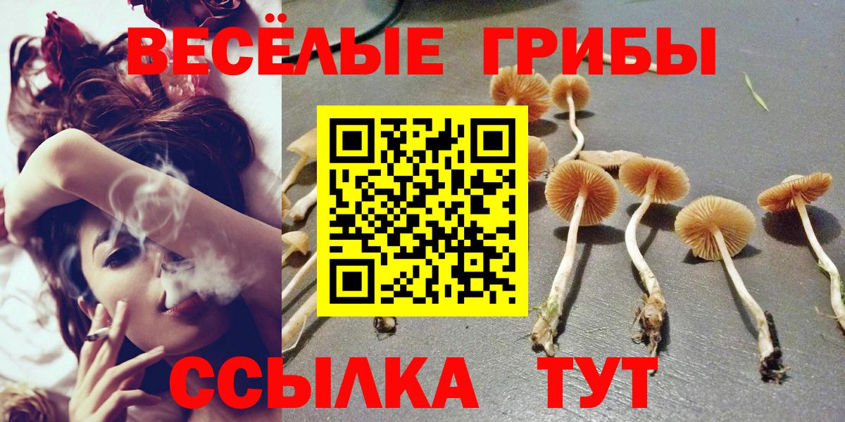 Галлюциногенные грибы прущие грибы  Вход с VPN  Кемерово 